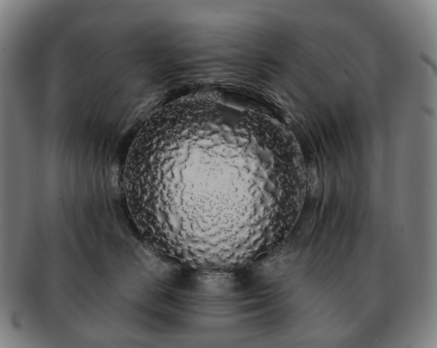 X0000091490670200708231423