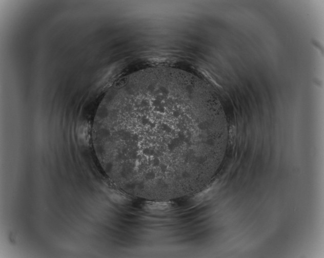X0000091490671200708231423