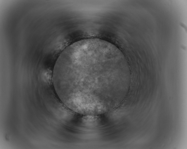 X0000091490672200708231423