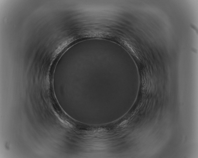 X0000091490674200708231422