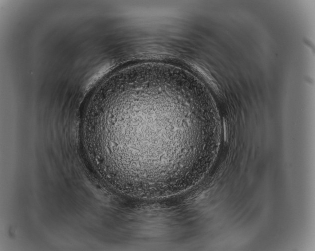 X0000091490675200708231422