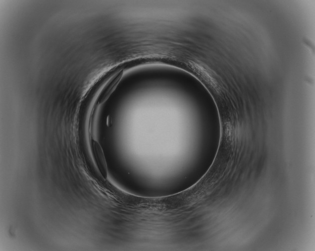 X0000091490676200708231422