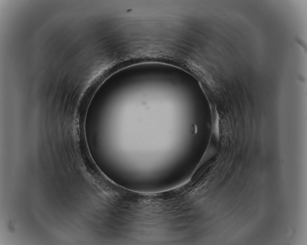 X0000091490680200708231422