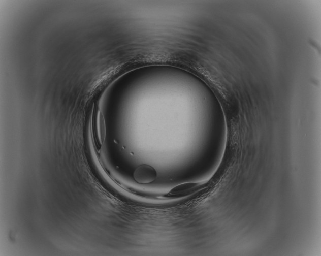 X0000091490681200708231422