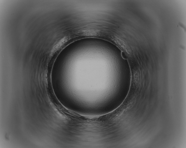 X0000091490682200708231422