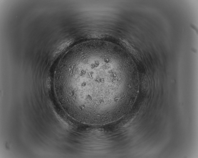 X0000091490683200708231422