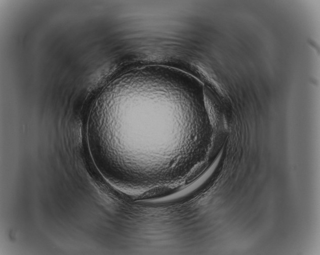 X0000091490685200708231422