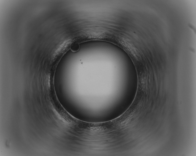 X0000091490686200708231422