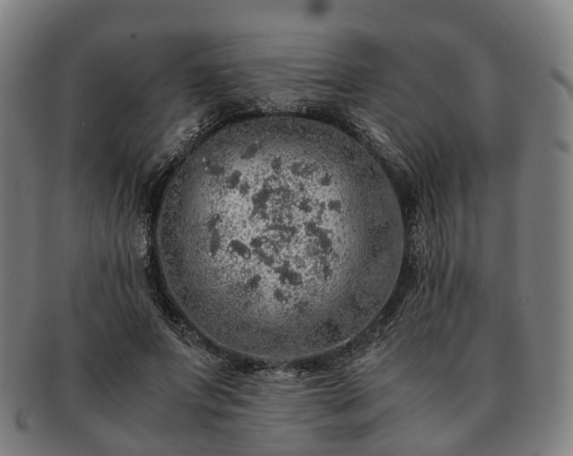X0000091490687200708231422