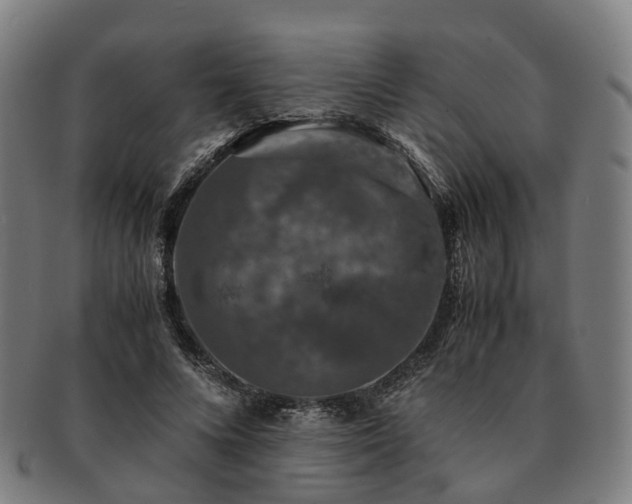 X0000091490688200708231422
