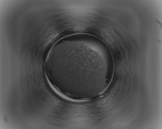 X0000091490689200708231422