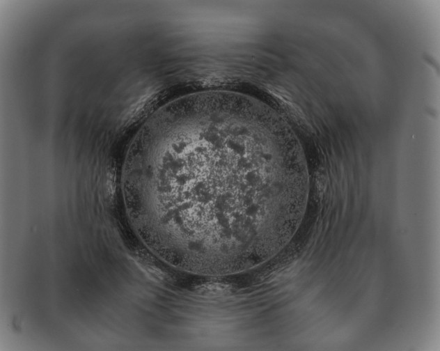 X0000091490691200708231422