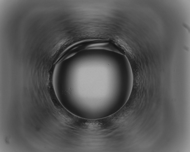 X0000091490693200708231422