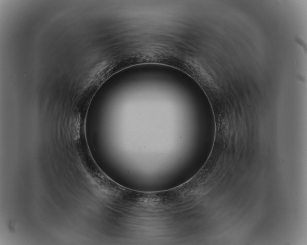 X0000091490694200708231422