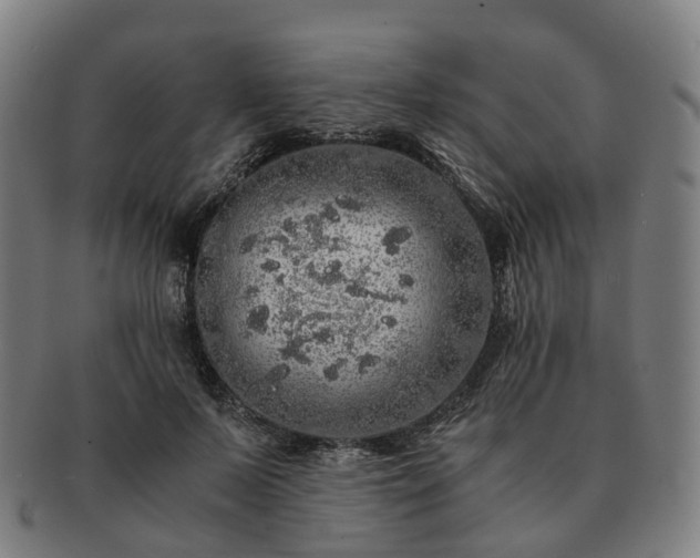 X0000091490695200708231422