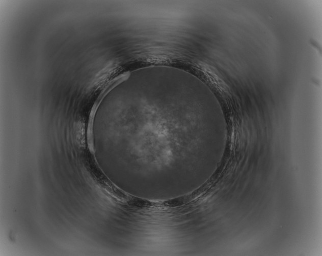 X0000091490696200708231422