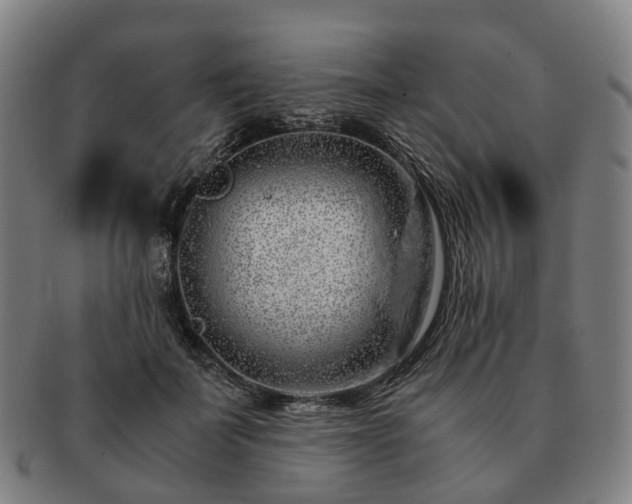 X0000091490699200708231422
