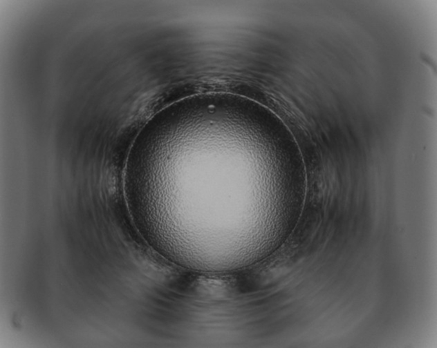 X0000091490706200708231422