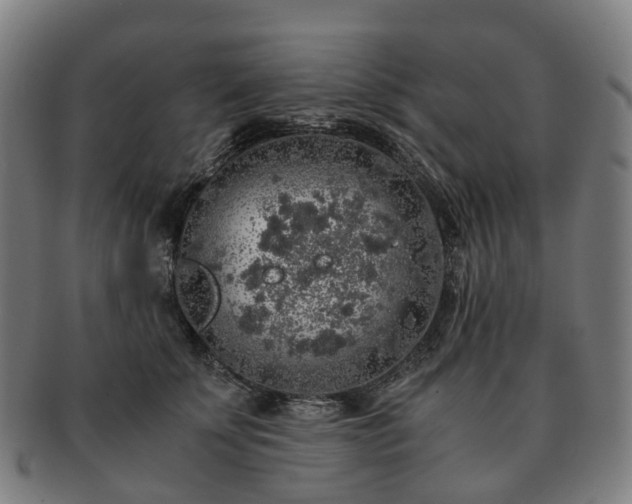 X0000091490707200708231422