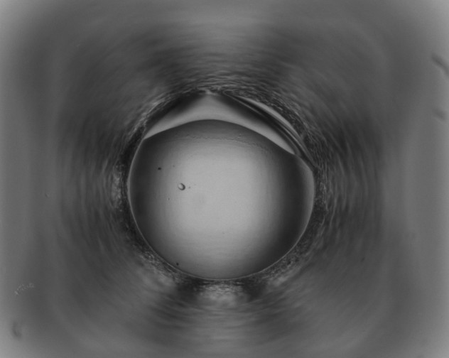 X0000091490708200708231422