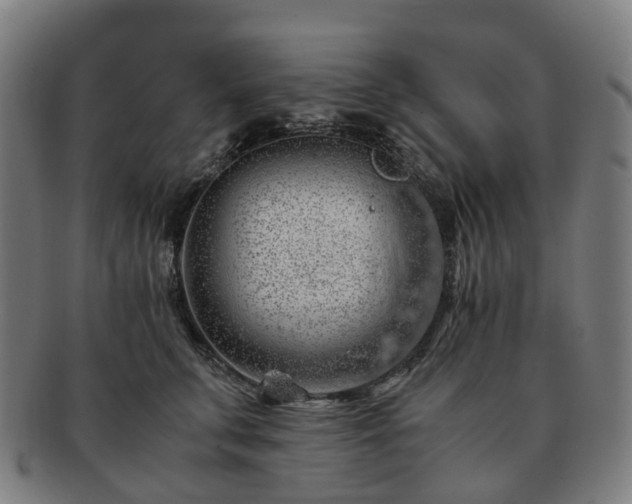 X0000091490711200708231422