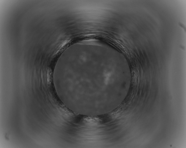 X0000091490712200708231422