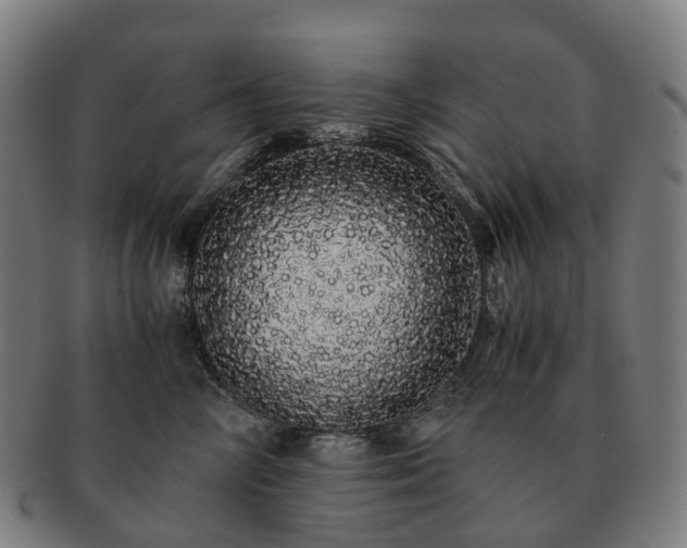 X0000091490714200708231422