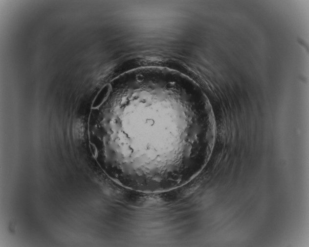 X0000091490715200708231422