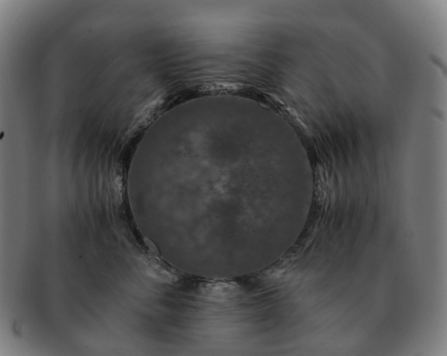 X0000091490716200708231422