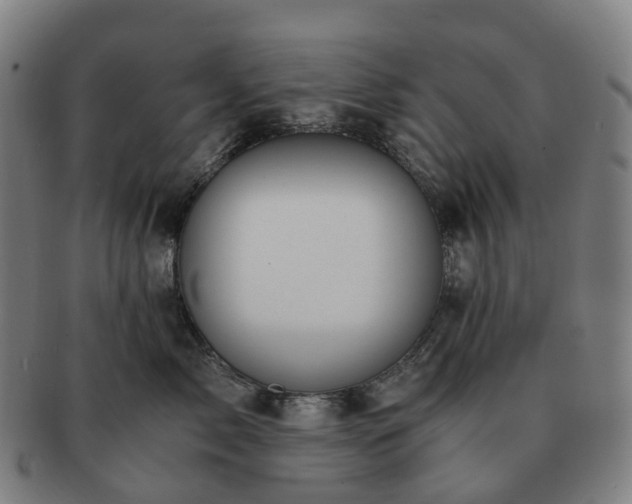 X0000091490717200708231422