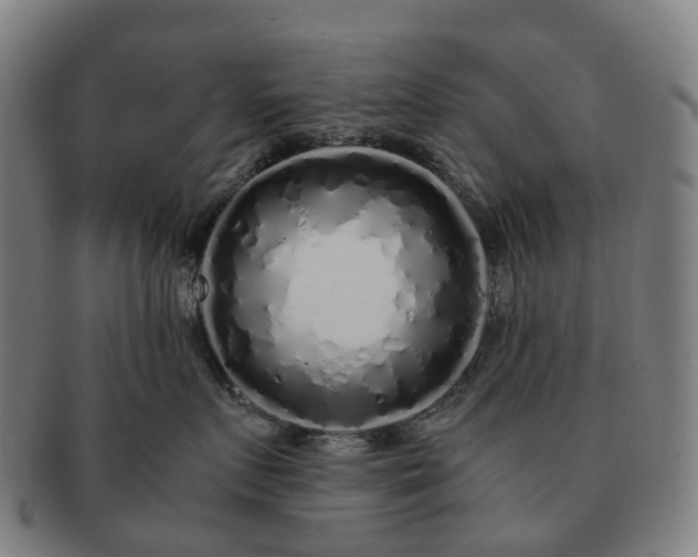 X0000091490719200708231422