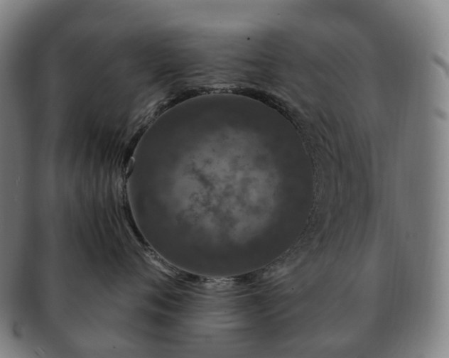 X0000091490720200708231422