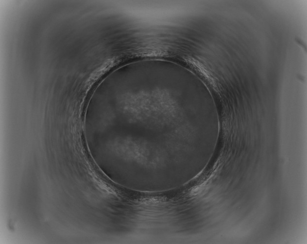 X0000091490721200708231421