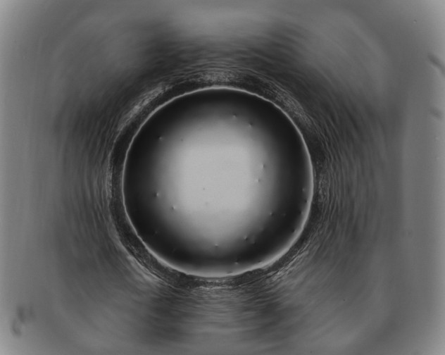 X0000091490722200708231421