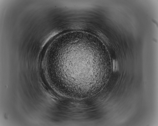 X0000091490723200708231421