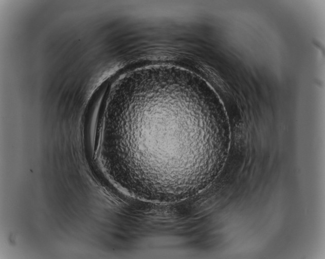 X0000091490727200708231421