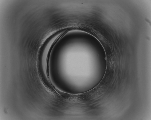 X0000091490728200708231421