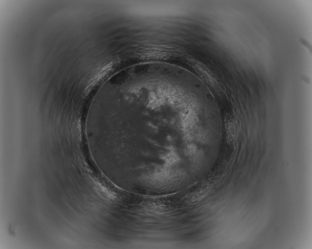 X0000091490729200708231421