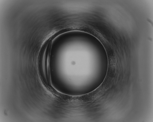 X0000091490730200708231421