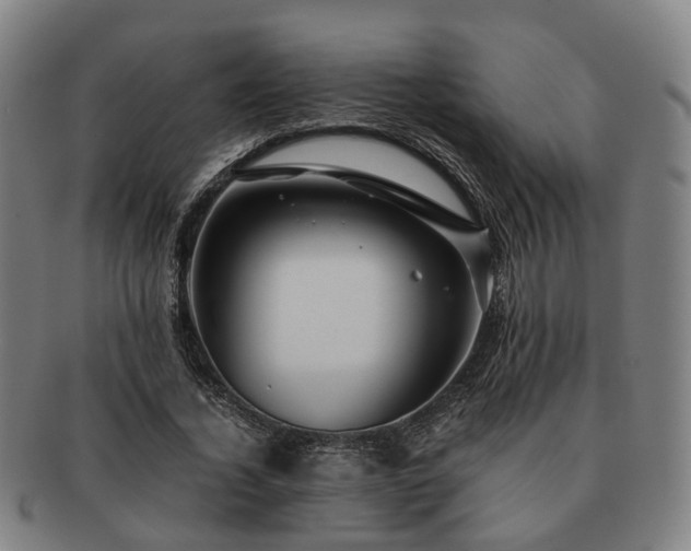 X0000091490732200708231421