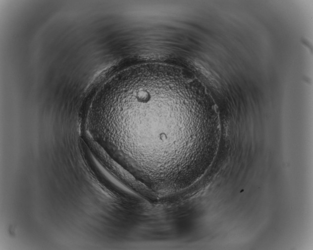 X0000091490733200708231421