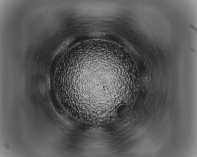 X0000091490734200708231421