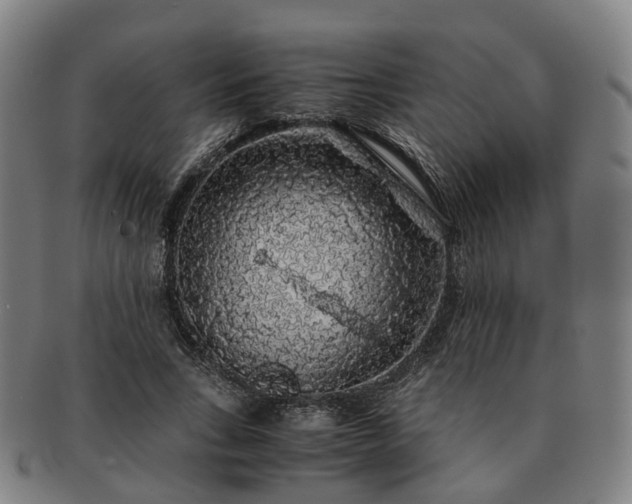 X0000091490735200708231421