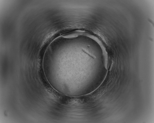 X0000091490736200708231421