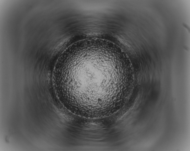 X0000091490737200708231421