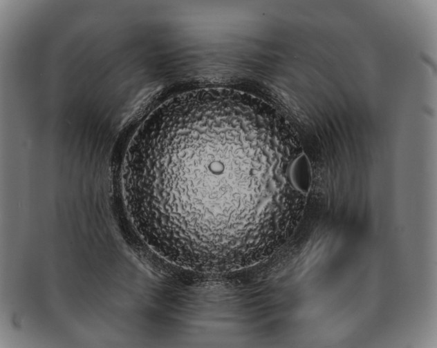 X0000091490738200708231421