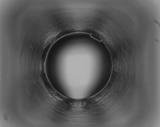 X0000091490740200708231421
