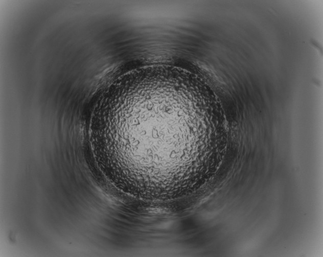 X0000091490741200708231421
