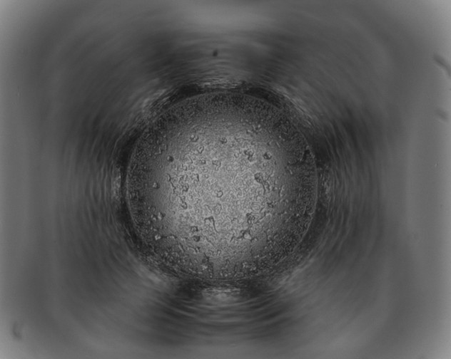 X0000091490745200708231421