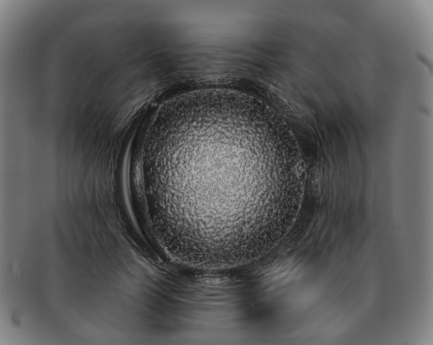 X0000091490746200708231422